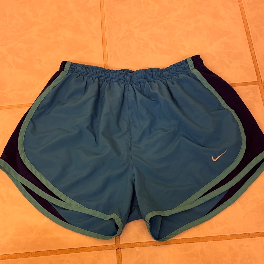 Nike Teal and Navy Running Shorts